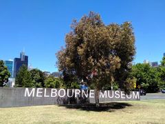 -墨尔本博物馆(Melbourne Museum)