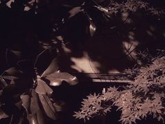 -济南轻骑摩托车有限公司(和平路)