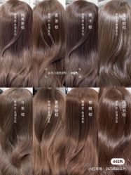 点击看大图 -藤野造型