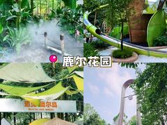 -老鼎万春卤菜(五代传承创始老店)