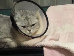 -超港(宿州路店)