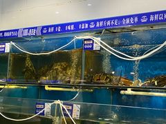 -蓝珊瑚蒸汽海鲜餐厅(龙奥店)