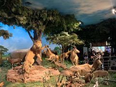 -国家自然博物馆