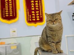 -纳吉亚猫专科动物医院博雅分院