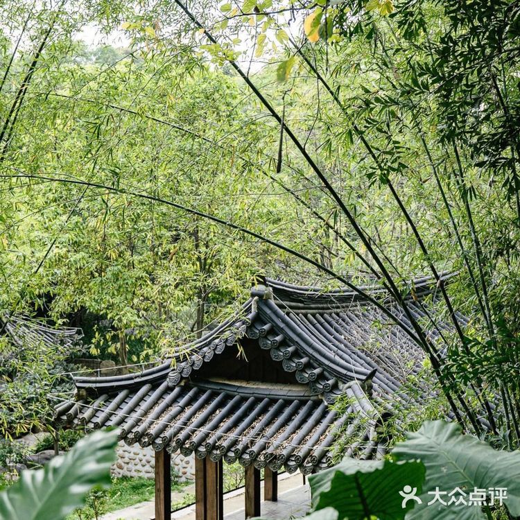 广州本地人去哪玩｜8个适合散步的公园