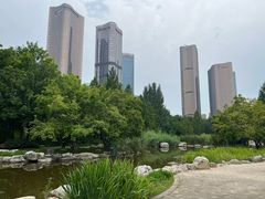 -大望京公园