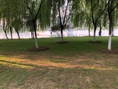 -沙湖公园
