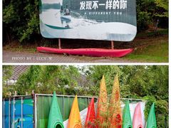 -上海海湾国家森林公园