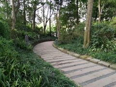 -成都市活水公园
