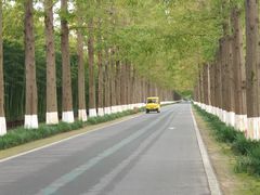 -黄海国家森林公园