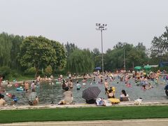 -柳浪游泳场