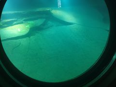 -白鹤梁水下博物馆
