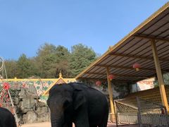 -贵州森林野生动物园