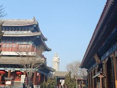 -天津妈祖文化园