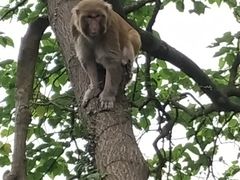 -上海佘山国家森林公园西佘山园