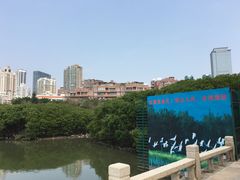 -白鹭洲公园