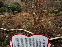 -秋霞圃