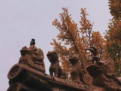 -故宫博物院(故宫)