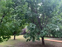 -长春公园(普阳街道)