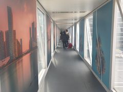 -合肥新桥国际机场-航站楼
