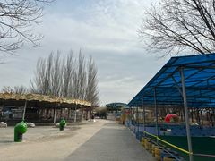 -大望京公园