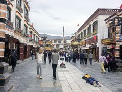 -古树酸奶(八廓南街店)