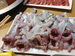 -铭记蛙小仙·活蛙畅享(CBD万达广场店)