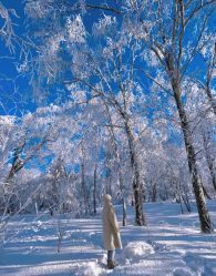 -大秃顶子山(雪谷店)