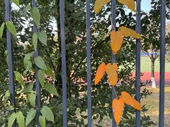 -武汉传媒学院