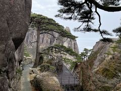 -黄山风景区