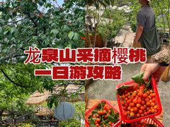 -桃源山庄·水蜜桃采摘·柴火鸡·烧烤团建(龙泉山店)