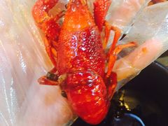 -金陵夜猫子私房菜(茂业天地店)