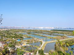 -广州莲花山旅游区