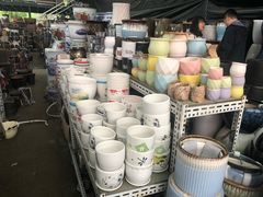 -金科花卉市场