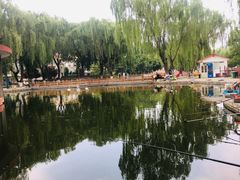 -丰台花园