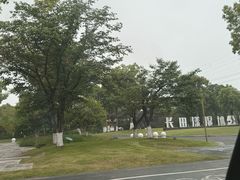 -长田漾湿地公园