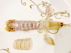 -吉源大排档·鱼生·海鲜(烧烤彩印厂店)