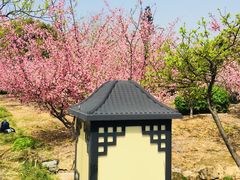 -白马涧龙池景区
