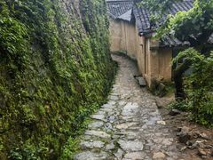 -杨家堂村