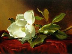 -乐圣量贩KTV自助餐(崇文店)