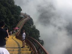 -少华山国家森林公园