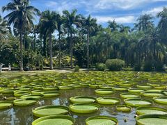-中国科学院西双版纳热带植物园