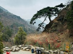 -泰山风景名胜区