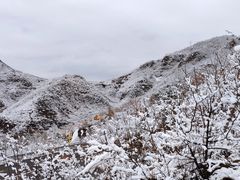-百里山水画廊乌龙峡谷
