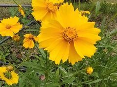 -金谷域澳洲庄园