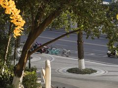 -成都市活水公园