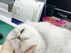 -嘉馨宠物医院·CT影像转诊·心脏科·犬猫全科诊疗中心(下沙大学城院区)