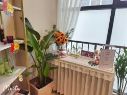 -禾壹净·素颜美问题肌肤修护中心