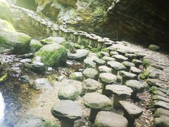 -牛背梁国家森林公园