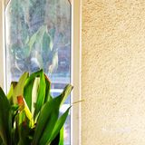 感谢老板❗让我省了飞江西的✈️